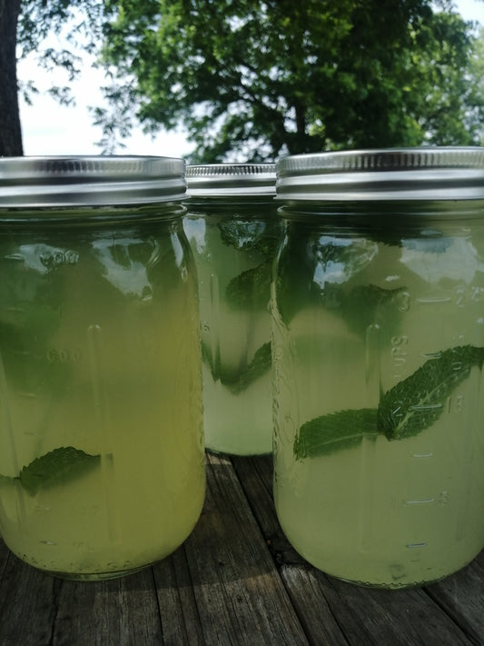 Pineapple Mint Refresher