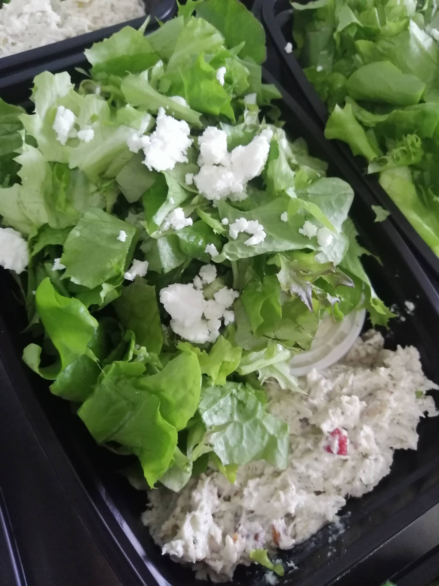 Salad w/ our Signature Chicken Salad