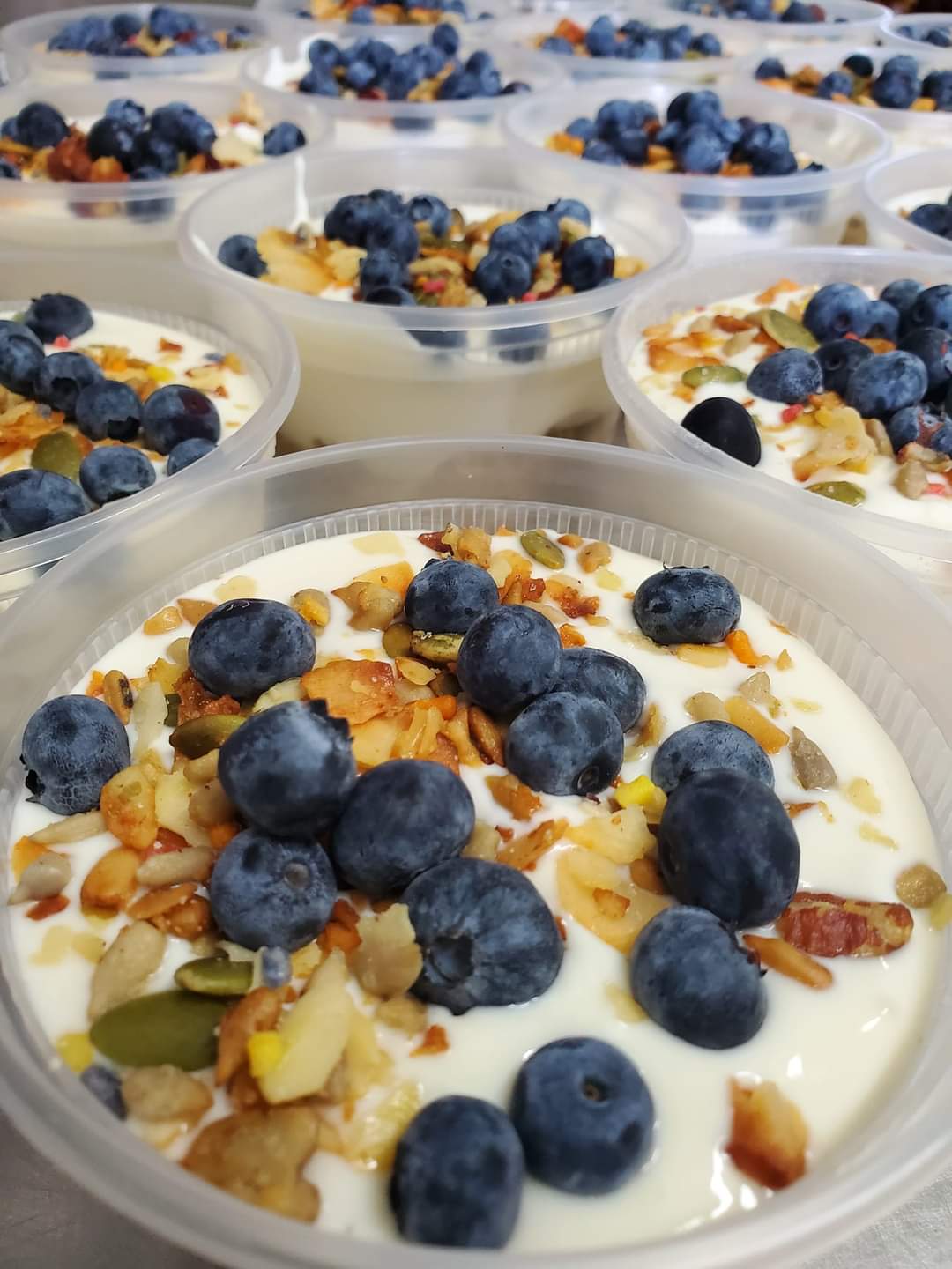 Protein Oats Parfait | Blueberry Crunch